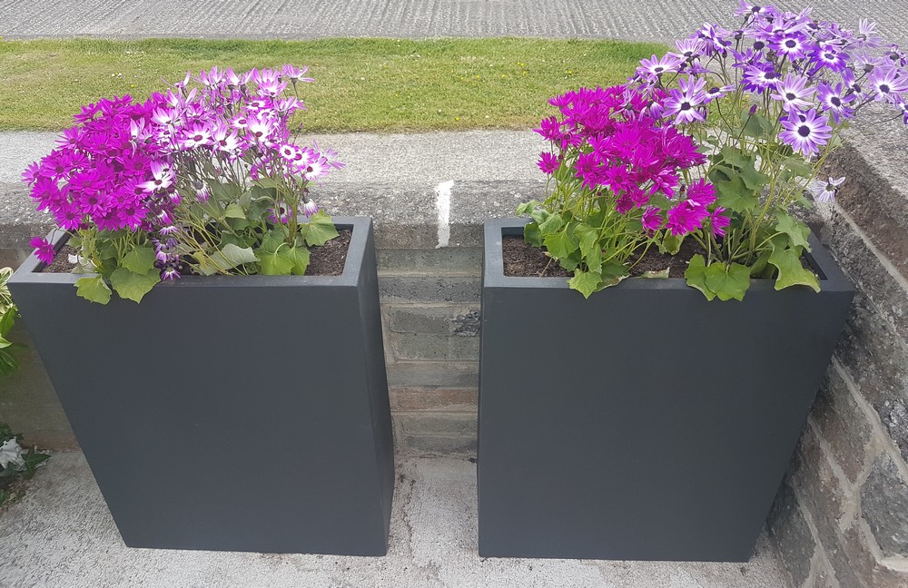 Gardening with raised flower beds Irish Osteoporosis Society